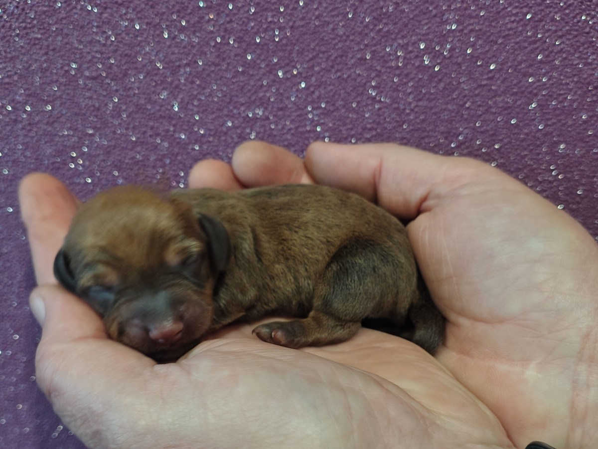 Die kleinen Racker sind&nbsp;da!